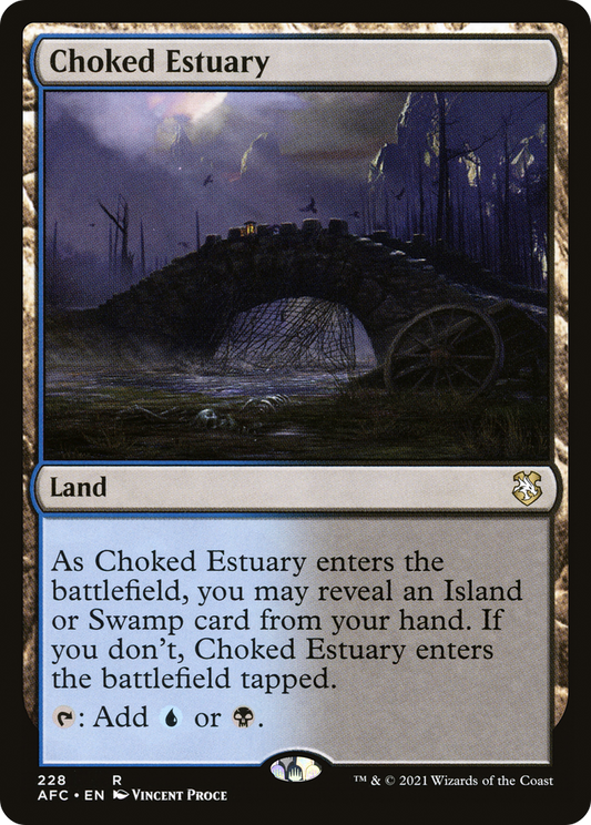 Choked Estuary (AFC-228)