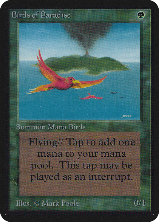 Birds of Paradise (LEA-186)