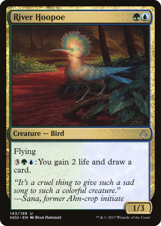 River Hoopoe (HOU-143)