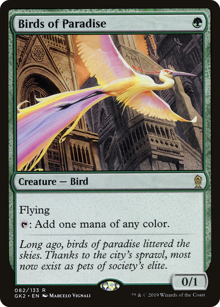 Birds of Paradise (GK2-082)