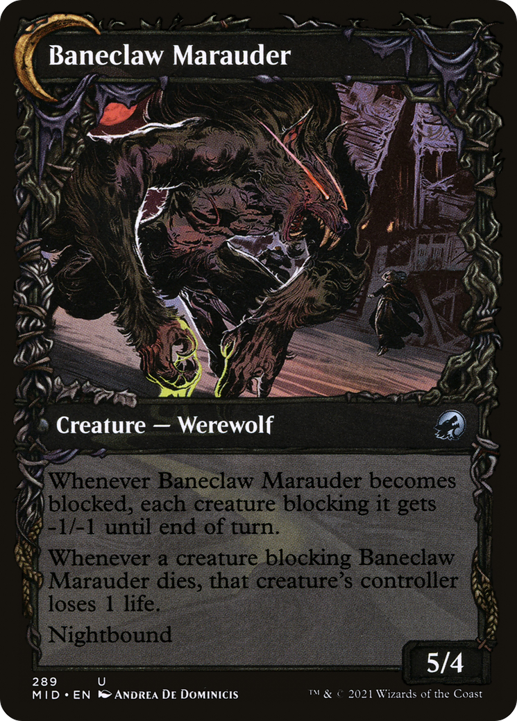 Baneblade Scoundrel // Baneclaw Marauder (MID-289) (Showcase) (Foil)