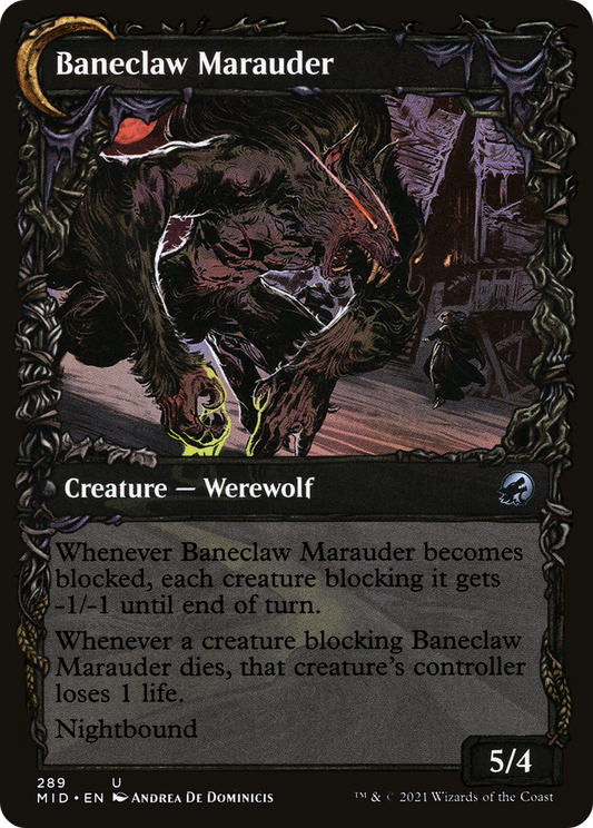 Baneblade Scoundrel // Baneclaw Marauder (MID-289) (Showcase) (Foil)