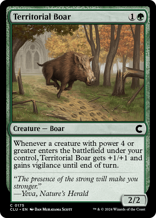 Territorial Boar (CLU-175)