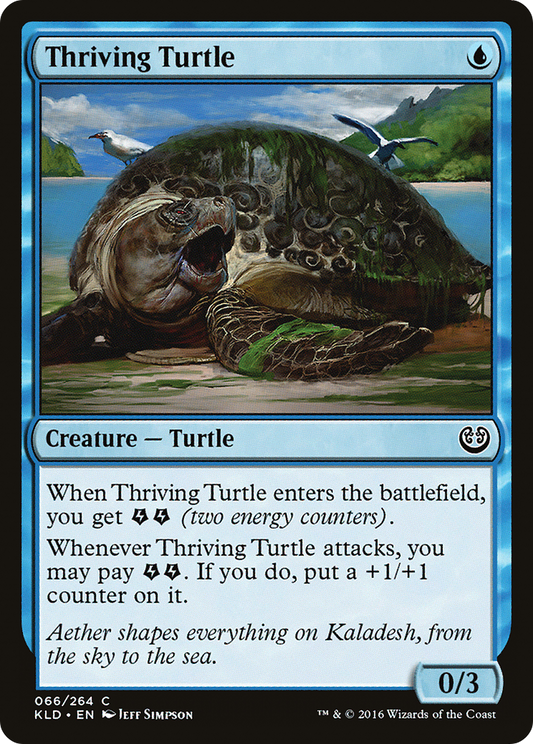 Thriving Turtle (KLD-066)