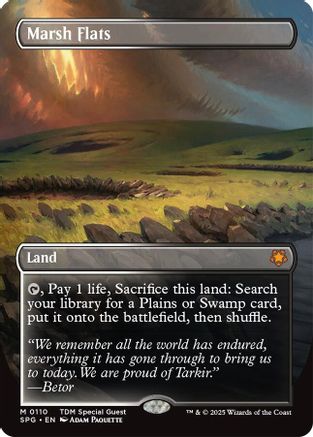 Marsh Flats (Borderless) (SPG-110) (Foil)