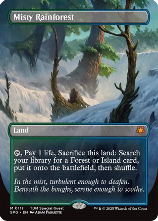 Misty Rainforest (Borderless) (SPG-111)