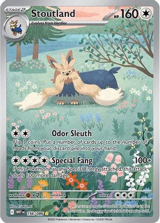 Stoutland (WHT-156) (Holofoil)