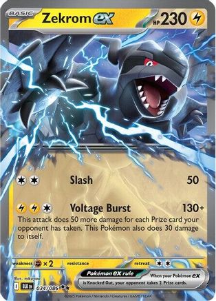 Zekrom ex (BLK-034) (Holofoil)