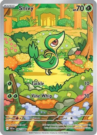 Snivy (BLK-087) (Holofoil)