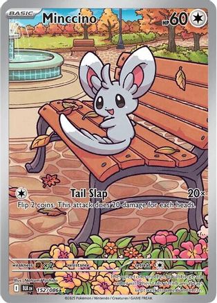 Minccino (BLK-152) (Holofoil)