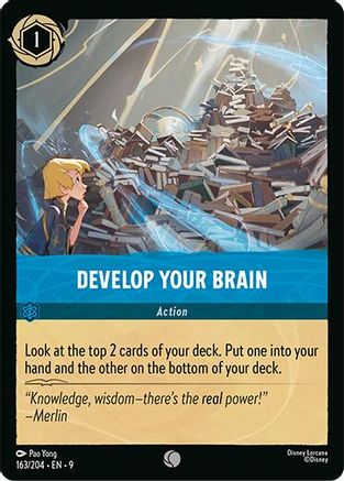 Develop Your Brain (9-163)