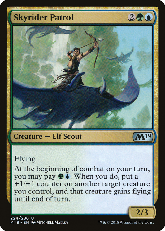 Skyrider Patrol (M19-224)