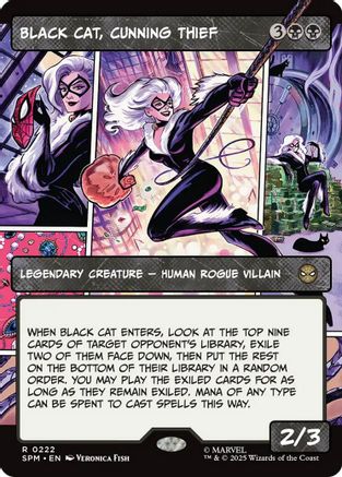 Black Cat, Cunning Thief (Borderless) (SPM-222)