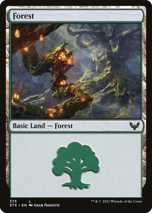 Forest (STX-375)