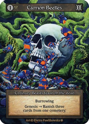 Carrion Beetles [Gothic]