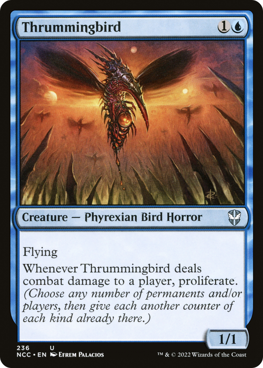 Thrummingbird (NCC-236)