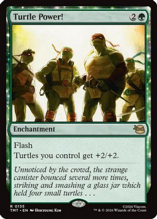 Turtle Power! (TMT-135)