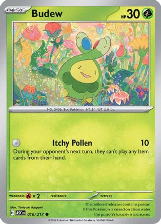 Budew (ASC-016) (Reverse Holofoil)