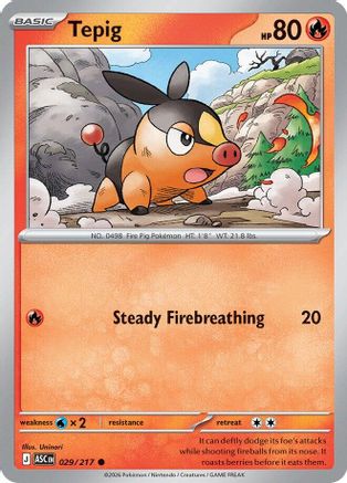 Tepig (ASC-029) (Reverse Holofoil)