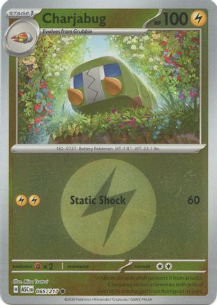 Charjabug (Energy Symbol Pattern) (ASC-065) (Reverse Holofoil)