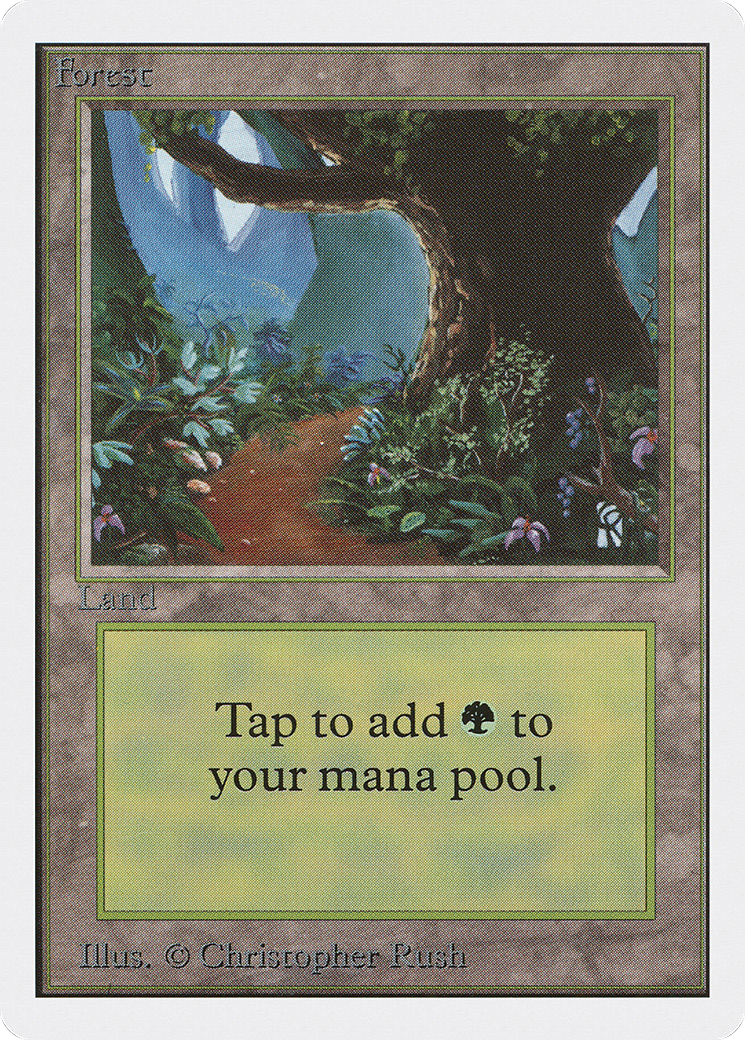 Forest (2ED-301)