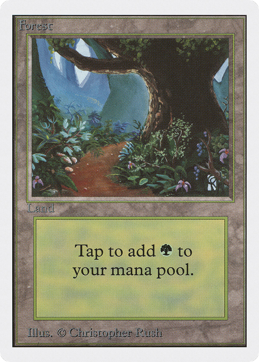 Forest (2ED-301)