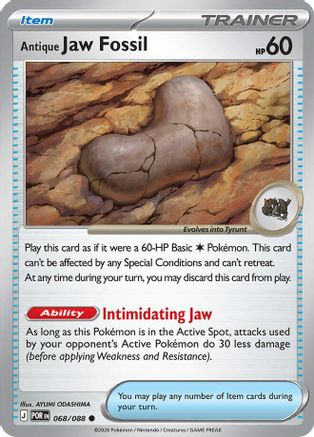 Antique Jaw Fossil (POR-068)