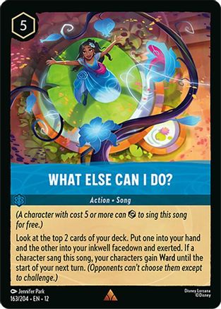 What Else Can I Do? (12-163)