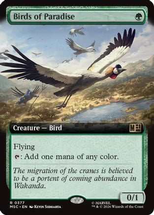 Birds of Paradise (Extended Art) (MSC-377)