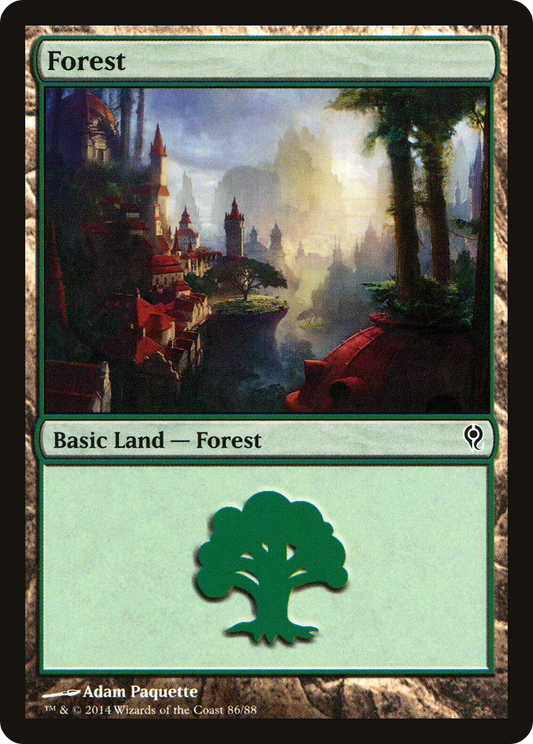 Forest (DDM-086)