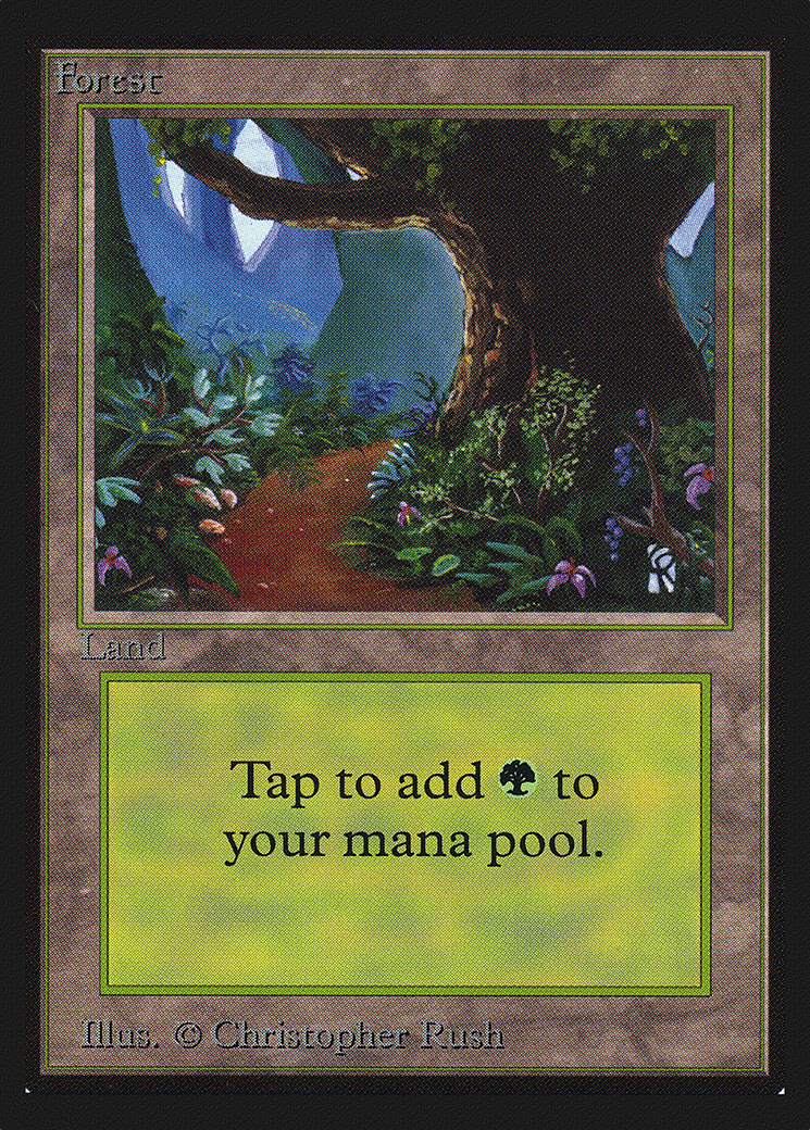 Forest (CED-281)