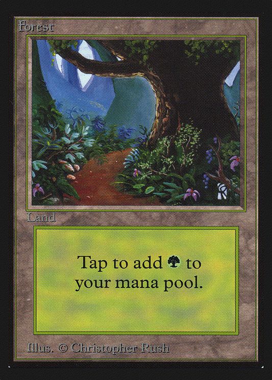 Forest (CED-281)