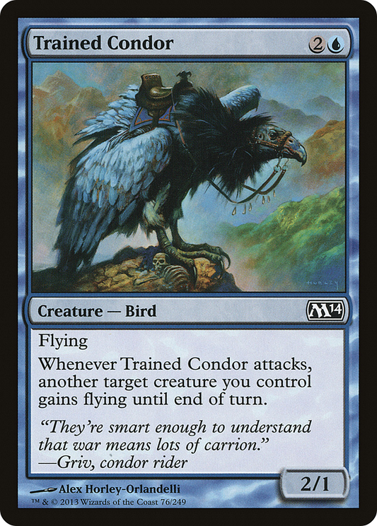 Trained Condor (M14-076)