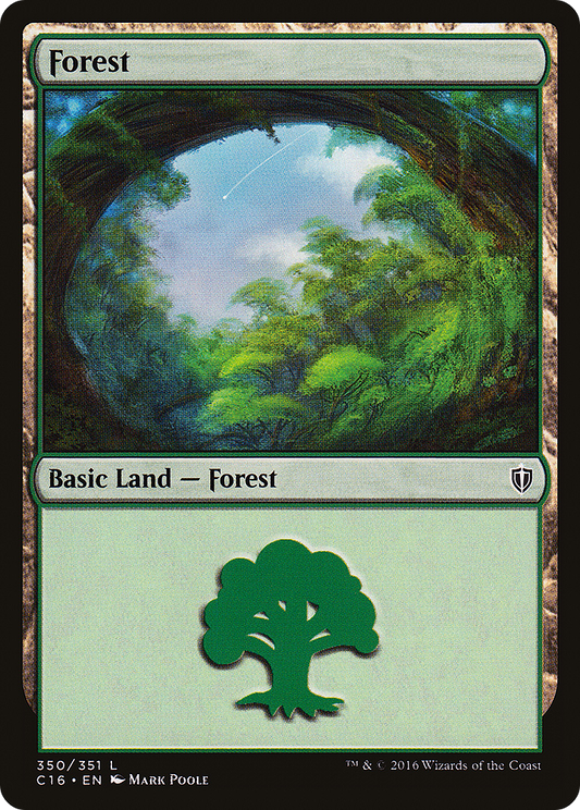 Forest (C16-350)