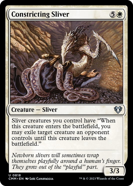 Constricting Sliver (CMM-818)