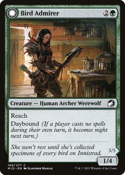 Bird Admirer // Wing Shredder (MID-169)
