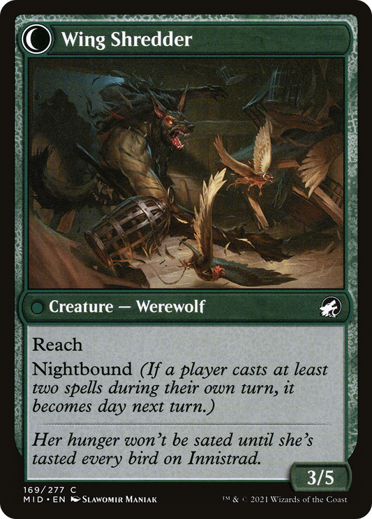 Bird Admirer // Wing Shredder (MID-169)