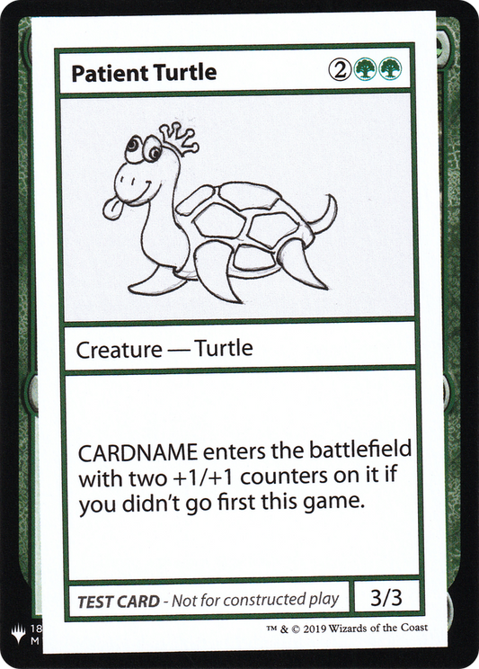 Patient Turtle (CMB1-082)