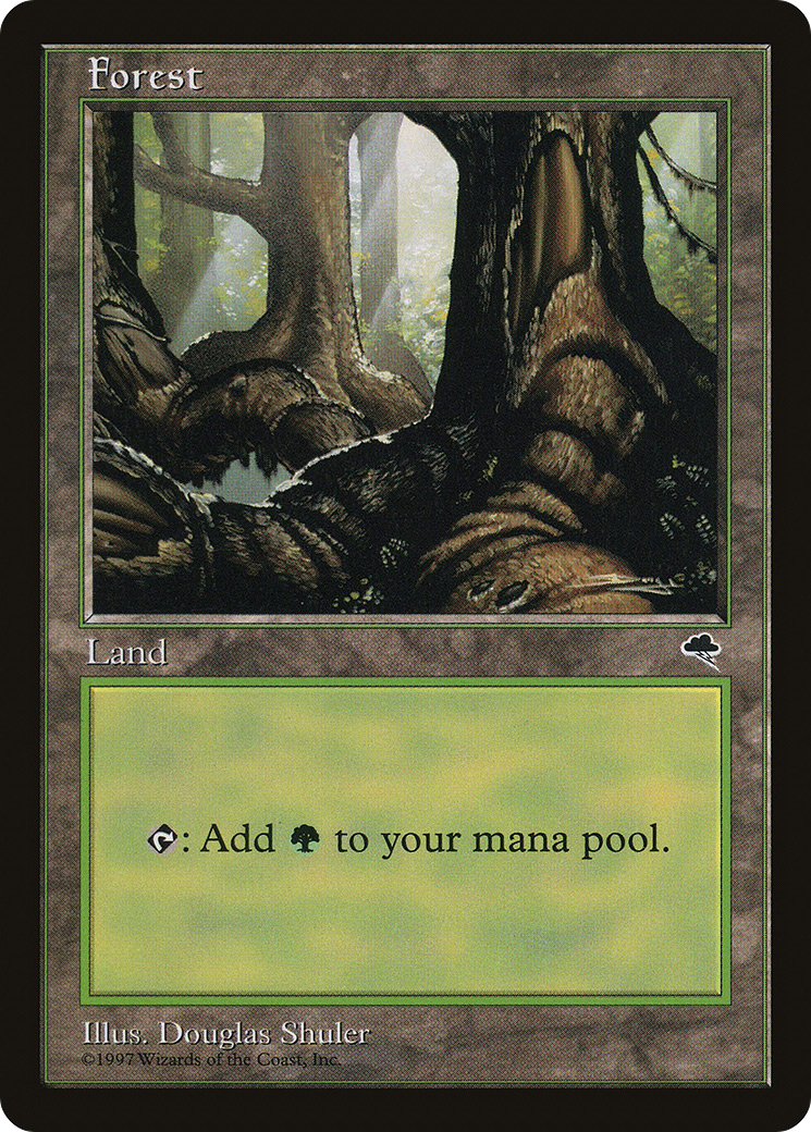 Forest (TMP-348)