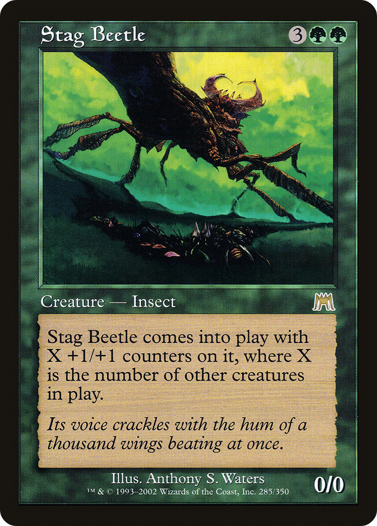 Stag Beetle (ONS-285)