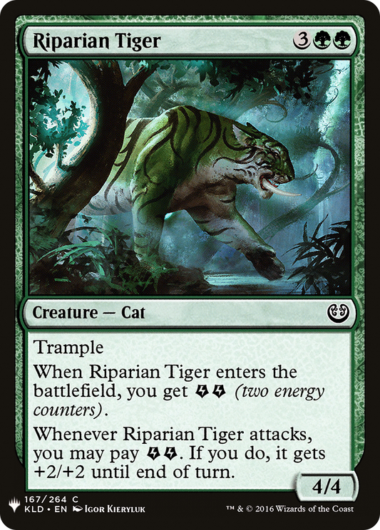 Riparian Tiger (LIST-KLD-167)