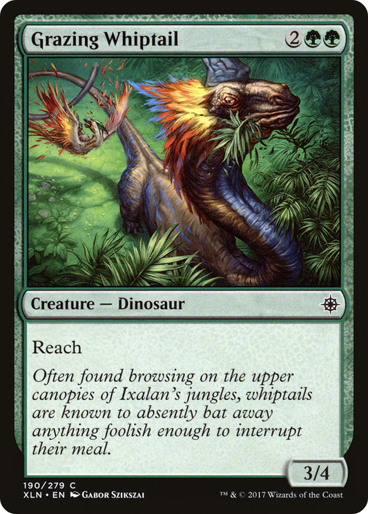 Grazing Whiptail (XLN-190)