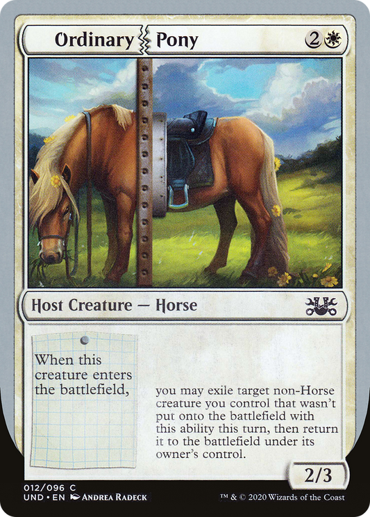 Ordinary Pony (UND-012)