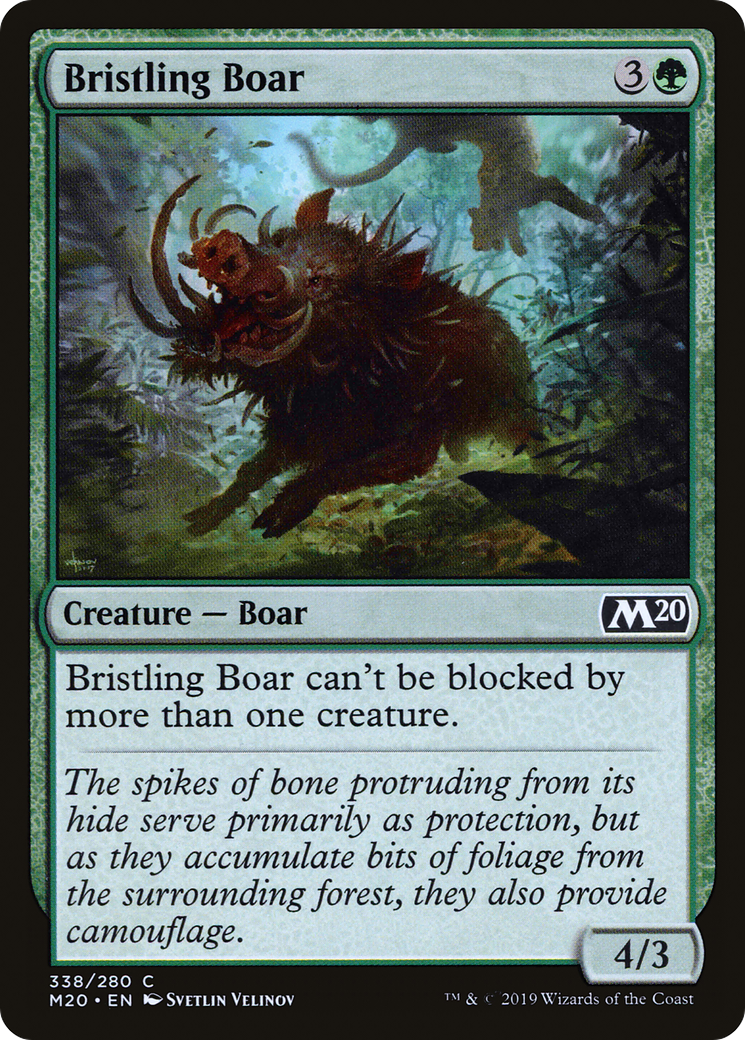 Bristling Boar (M20-338)