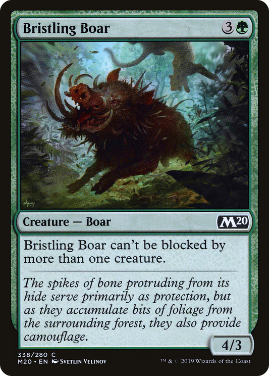Bristling Boar (M20-338)