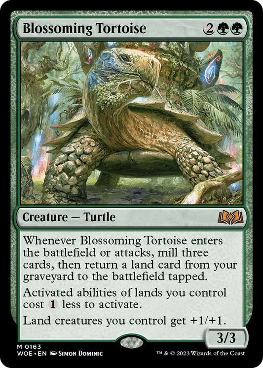 Blossoming Tortoise (WOE-163)