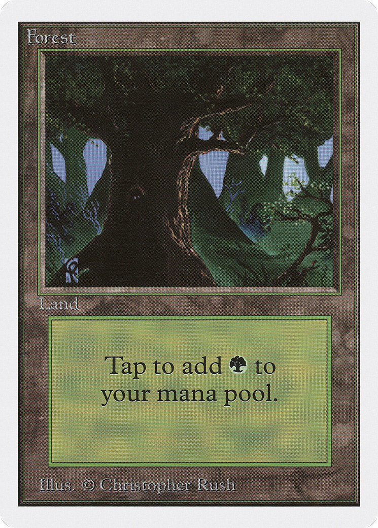 Forest (2ED-302)