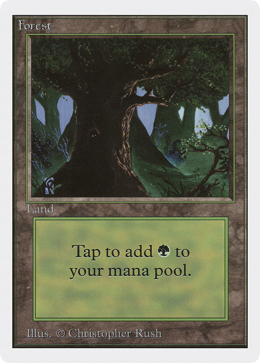 Forest (2ED-302)