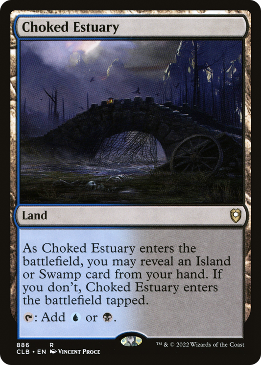 Choked Estuary (CLB-886)