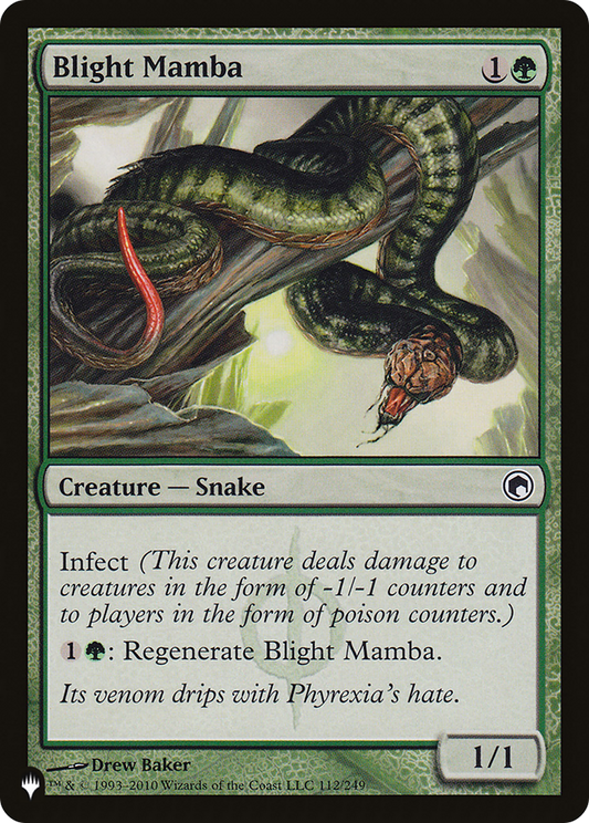 Blight Mamba (LIST-SOM-112)